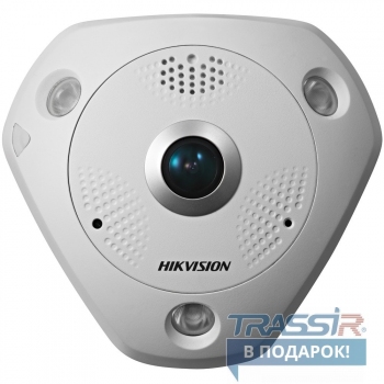 IP-видеокамера DS-2CD6362F-IVS